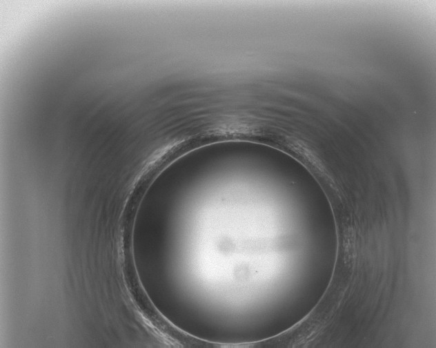 X0000054410629200508051740