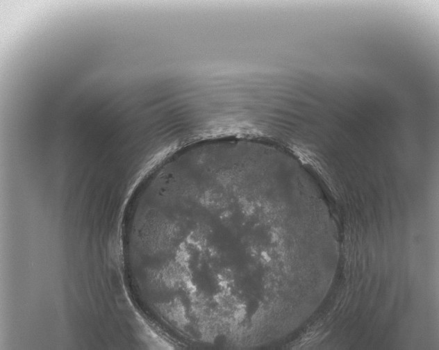 X0000054410630200508051740