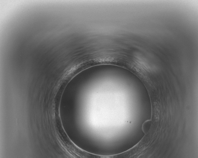 X0000054410631200508051740