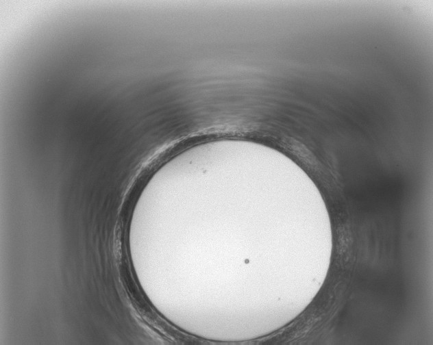 X0000054410632200508051740