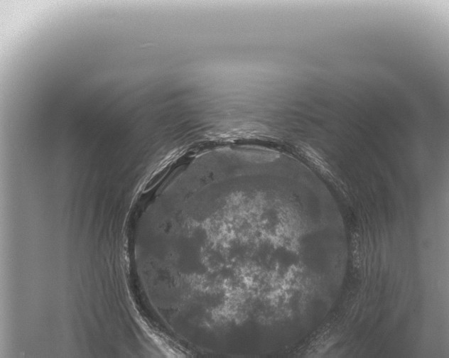 X0000054410634200508051740