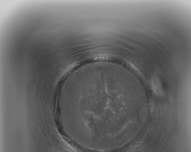 X0000054410637200508051741