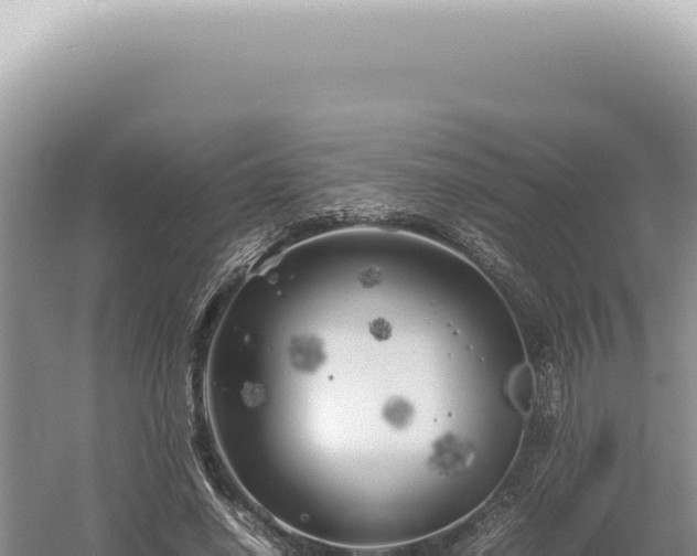 X0000054410638200508051741