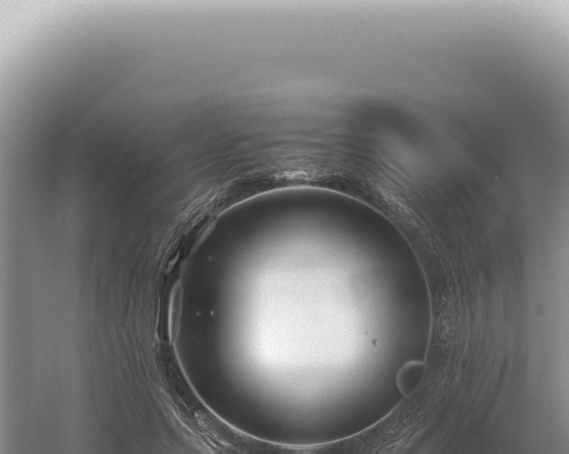 X0000054410639200508051741