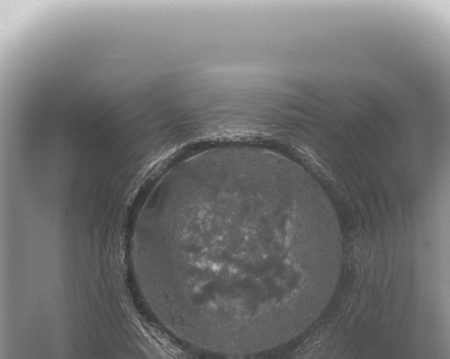 X0000054410640200508051741