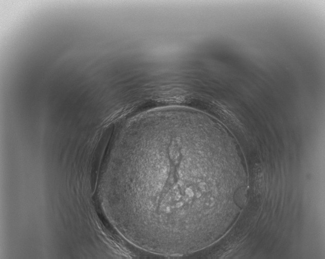 X0000054410641200508051741