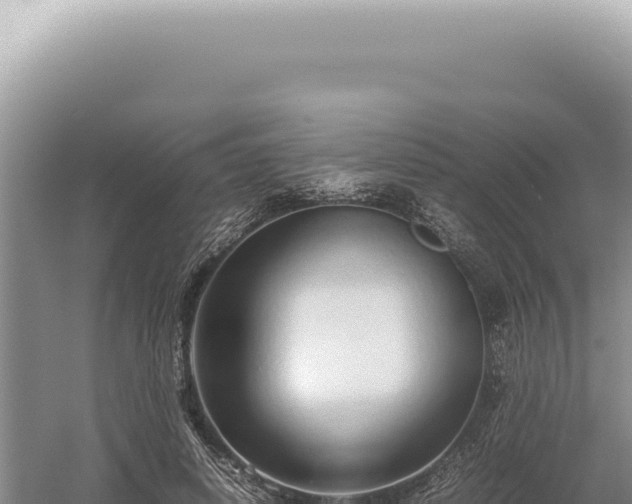 X0000054410642200508051741