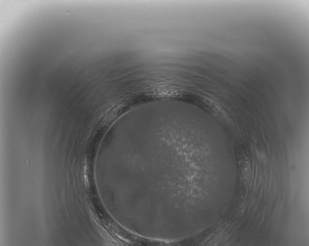 X0000054410643200508051741