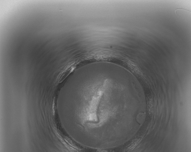 X0000054410644200508051741