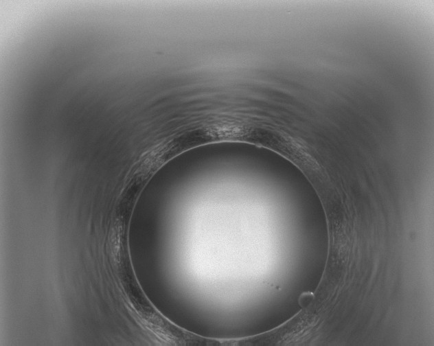 X0000054410645200508051741