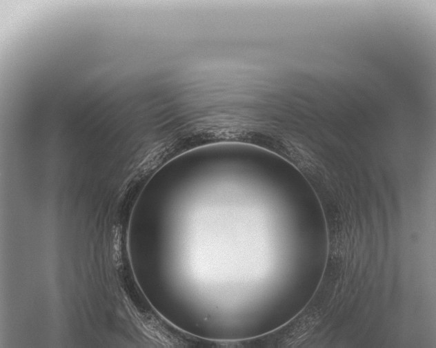 X0000054410646200508051741