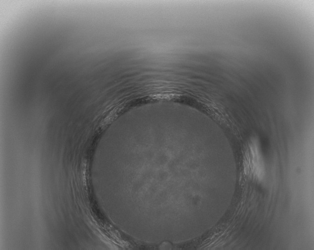 X0000054410647200508051741