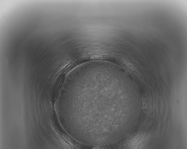 X0000054410648200508051741