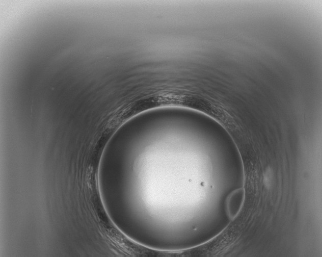 X0000054410649200508051741