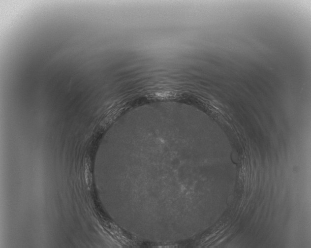 X0000054410651200508051741