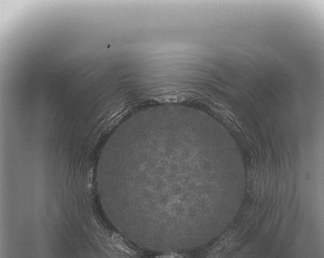 X0000054410652200508051741