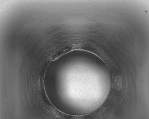 X0000054410655200508051741