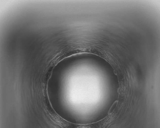 X0000054410656200508051741