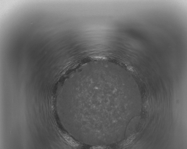 X0000054410658200508051741