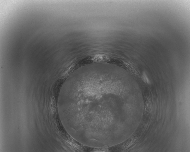 X0000054410659200508051741