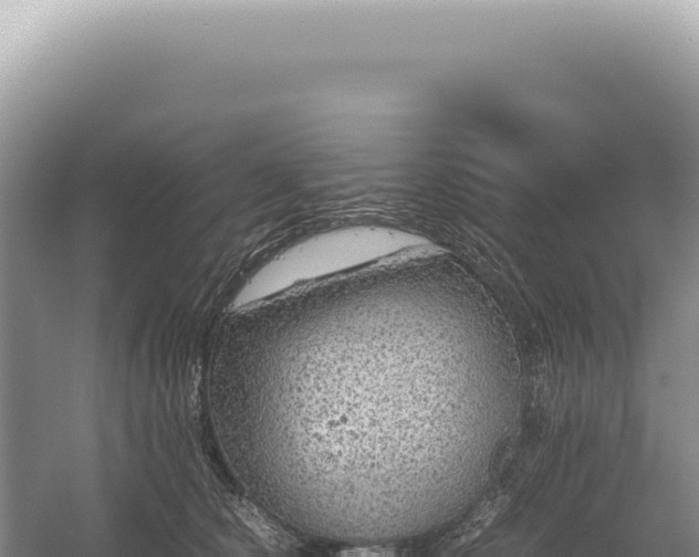 X0000054410660200508051741