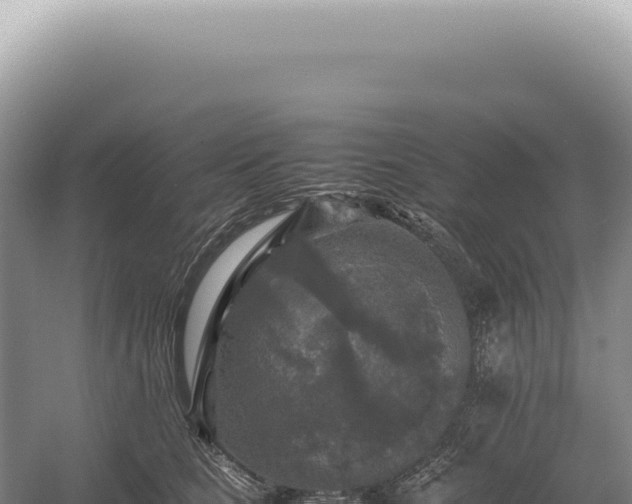 X0000054410661200508051741