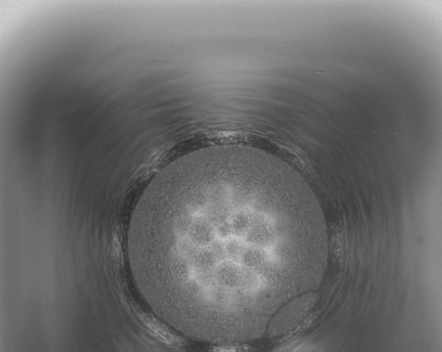 X0000054410662200508051741