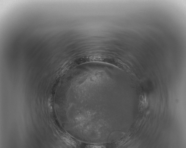 X0000054410663200508051741