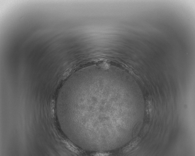 X0000054410664200508051741