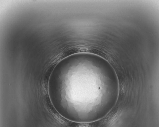 X0000054410666200508051741