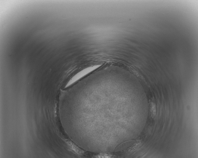 X0000054410668200508051741