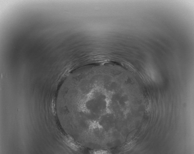 X0000054410669200508051741