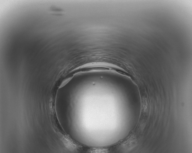 X0000054410670200508051741