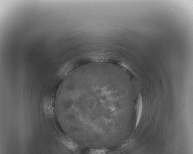 X0000054410671200508051741