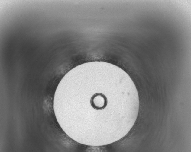 X0000054410672200508051741