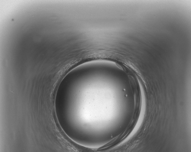 X0000054410673200508051740