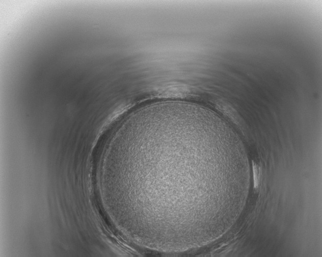 X0000054410675200508051740