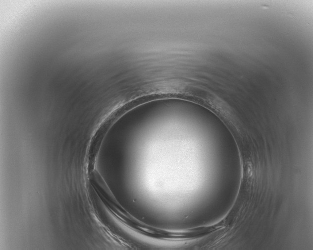 X0000054410676200508051740