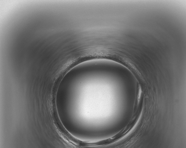 X0000054410677200508051740