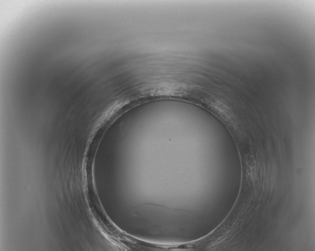 X0000054410678200508051740