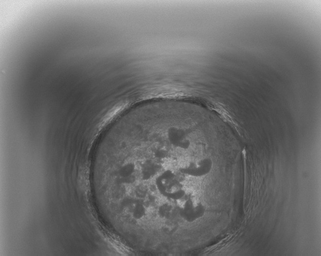 X0000054410679200508051740