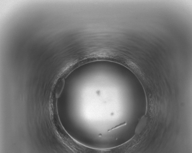 X0000054410680200508051740