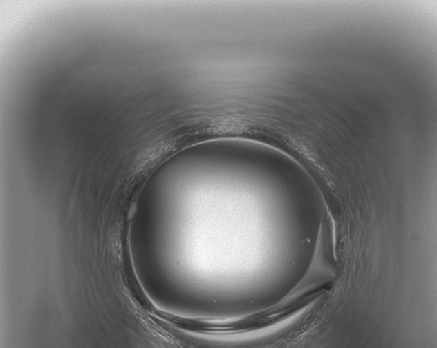 X0000054410681200508051740