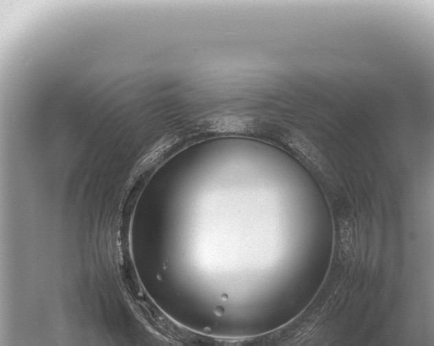 X0000054410682200508051740