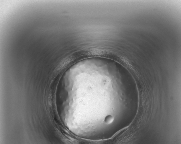 X0000054410683200508051740