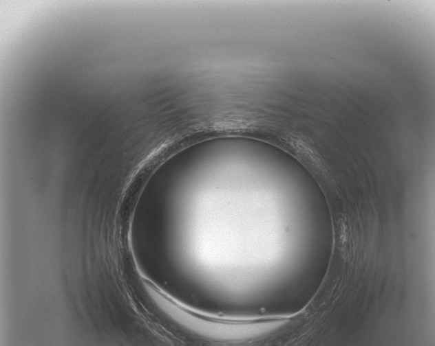 X0000054410684200508051740