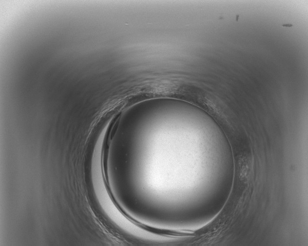 X0000054410685200508051740