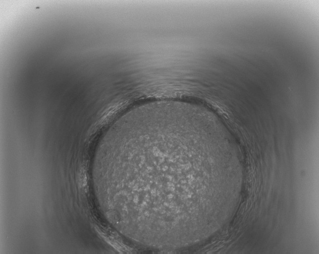 X0000054410687200508051740