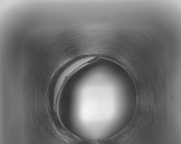 X0000054410688200508051740