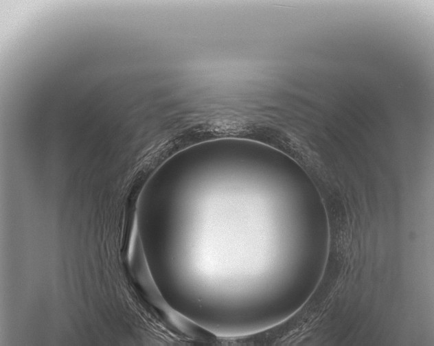 X0000054410689200508051740